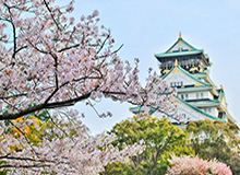 春节要闻回顾：国青表现不俗 中超多队完成引援
